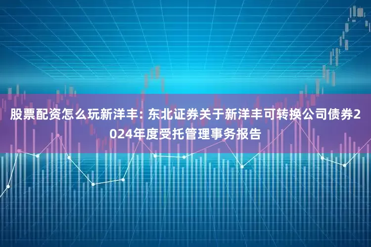 股票配资怎么玩新洋丰: 东北证券关于新洋丰可转换公司债券2024年度受托管理事务报告