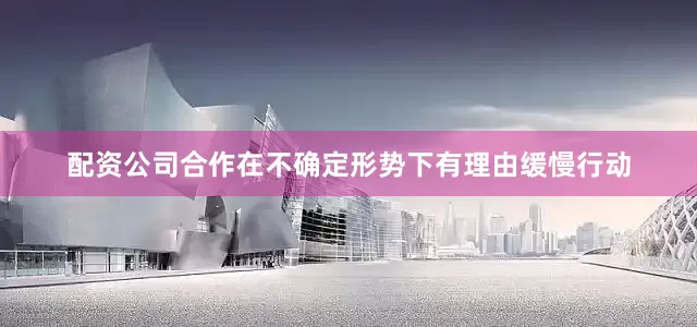 配资公司合作在不确定形势下有理由缓慢行动