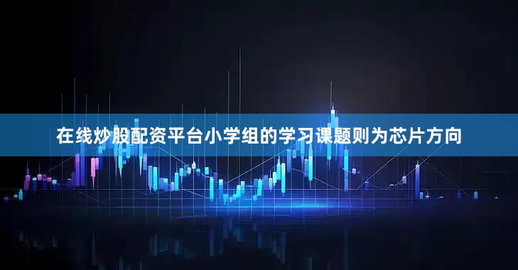 在线炒股配资平台小学组的学习课题则为芯片方向