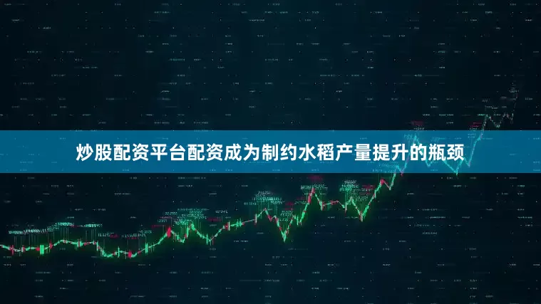 炒股配资平台配资成为制约水稻产量提升的瓶颈